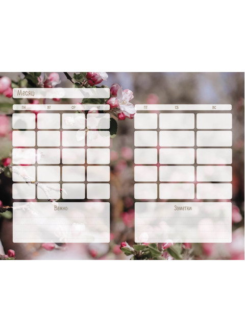 Творчество внутри меня. Следуй к мечте. Цвикевич Кристина