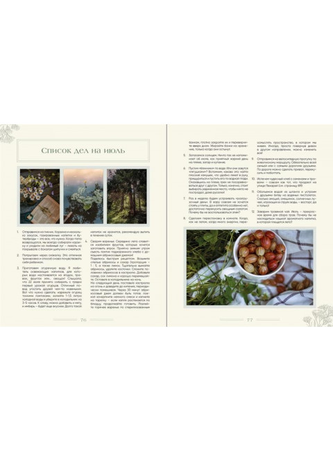 Записки цветочной феи. Сказочные истории, народные приметы и волшебные рецепты. Недзвецкая Наталья