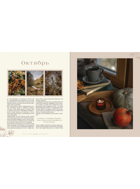 Записки цветочной феи. Сказочные истории, народные приметы и волшебные рецепты. Недзвецкая Наталья