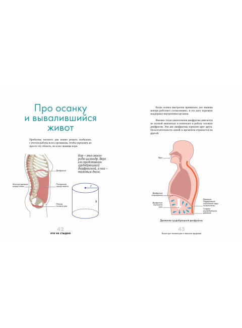 Это не стыдно. Книга про тазовое дно и женское здоровье. Боровская Виктория