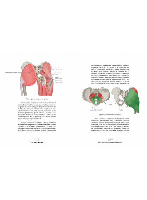 Это не стыдно. Книга про тазовое дно и женское здоровье. Боровская Виктория