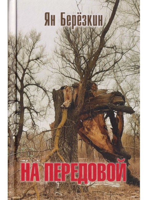 На передовой. Стихи о СВО. Берёзкин Я.М.