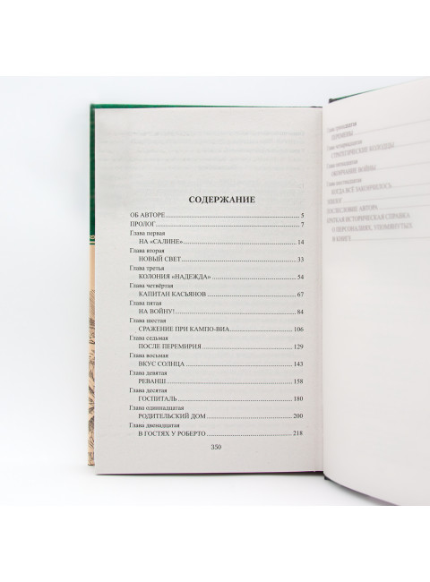 Чако. Своя чужая война. Федоров М.Ю.