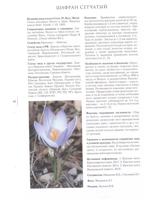 Gennuria plantarum rariorum russiae meridoinalis Ф.К. Биберштейна глазами молодых исследователей 