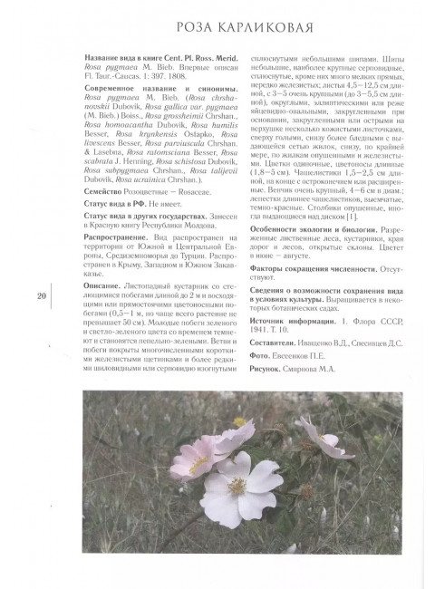 Gennuria plantarum rariorum russiae meridoinalis Ф.К. Биберштейна глазами молодых исследователей 