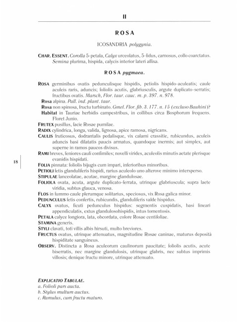 Gennuria plantarum rariorum russiae meridoinalis Ф.К. Биберштейна глазами молодых исследователей 