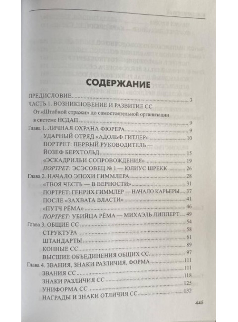 Государство террора. СС в системе власти Третьего рейха. Залесский К.А.