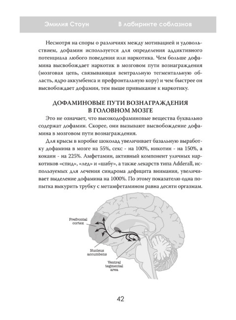 В лабиринте соблазнов. Психология зависимости в мире технологий. Эмилия Стоун