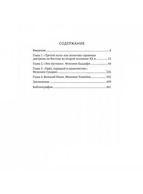 Выход из тупика. Третий путь. Воронин С.А.