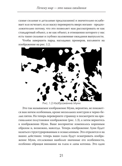 Иллюзия восприятия. Почему мир — это наши ожидания. Джереми Кокс