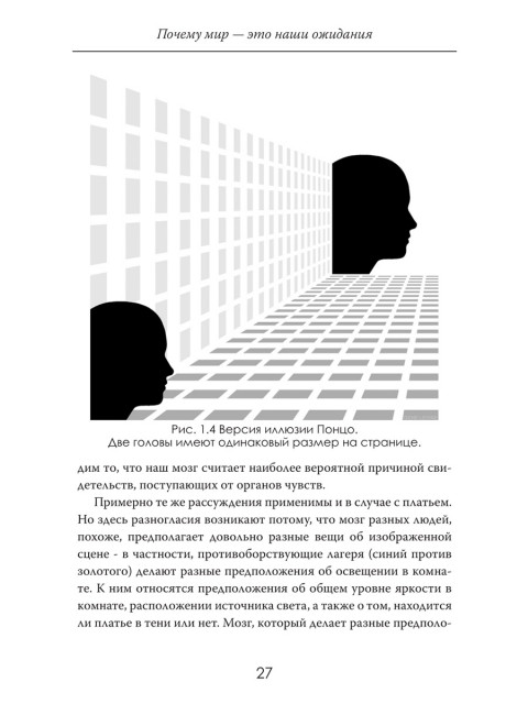 Иллюзия восприятия. Почему мир — это наши ожидания. Джереми Кокс