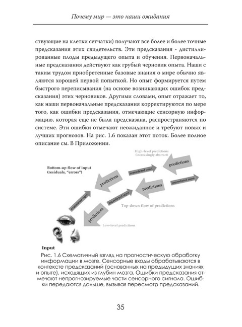 Иллюзия восприятия. Почему мир — это наши ожидания. Джереми Кокс