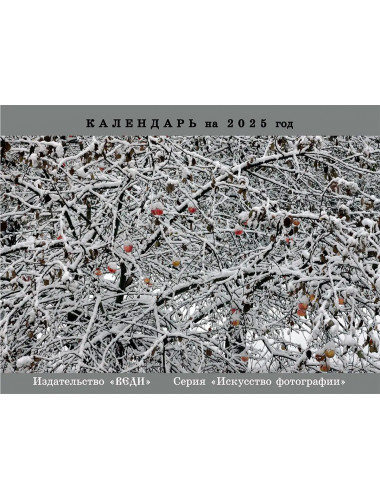 Авторский календарь на 2025 год. Савельев С.В.