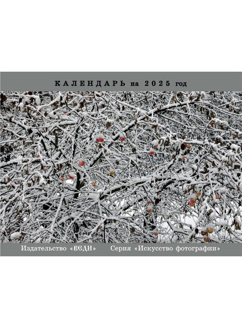 Авторский календарь на 2025 год. Савельев С.В.