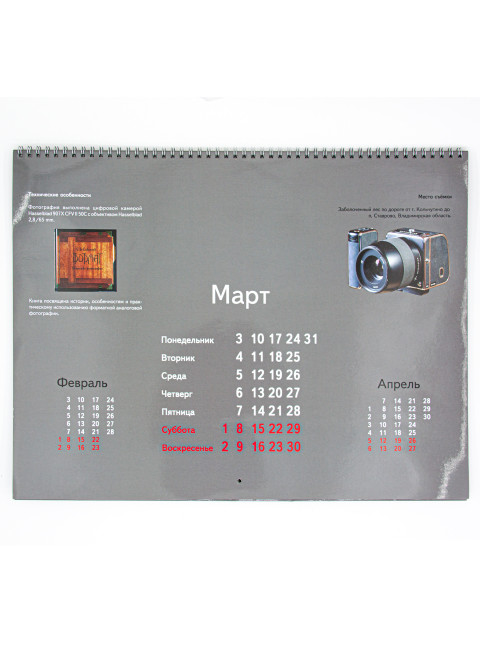 Авторский календарь на 2025 год. Савельев С.В.