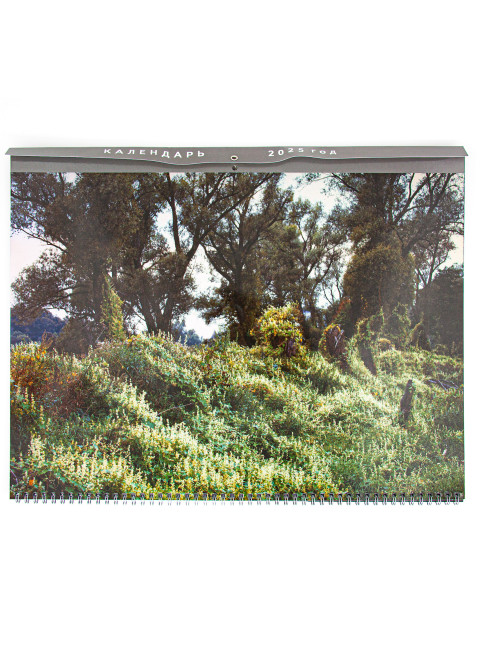 Авторский календарь на 2025 год. Савельев С.В.