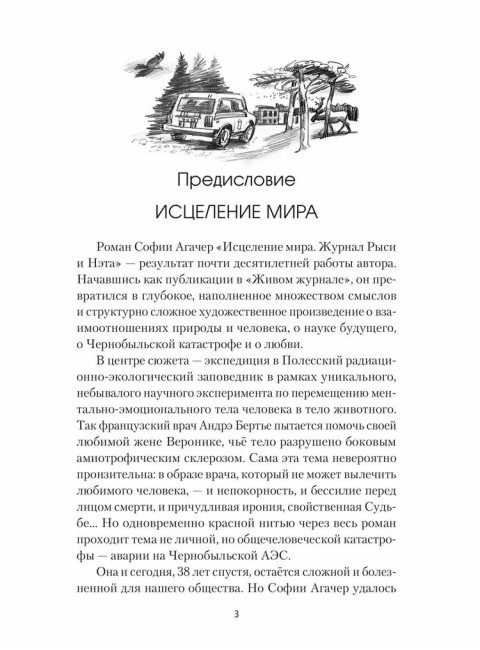 Исцеление мира. Журнал Рыси и Нэта. Агачер С.