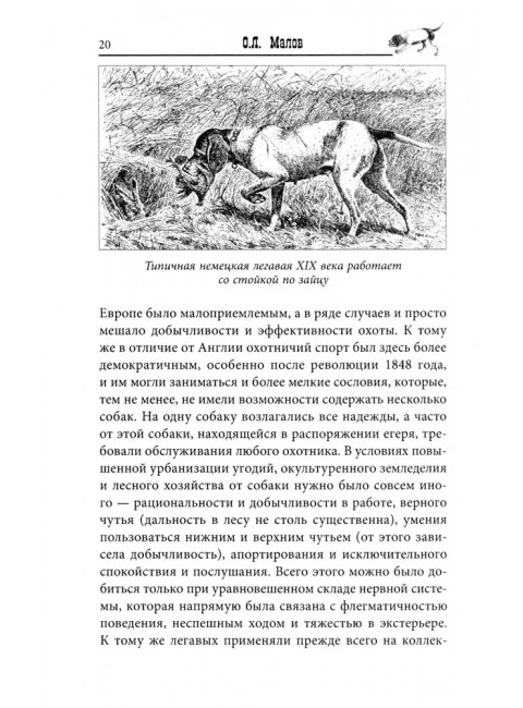 Курцхаар на охоте и дома. Малов О.Л.