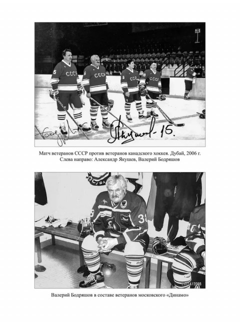 Созвездие Лубянки. Люди и судьбы. Ведяев А.Ю.