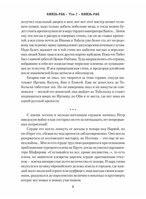 Князь-раб: роман в 2 т. т.2: Князь-раб. Родионов А.М.