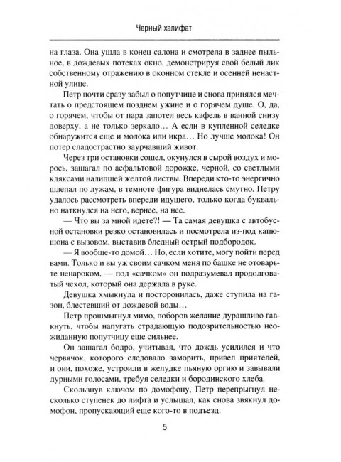 Черный халифат. Держите огонь зажженным. Дегтярева И.