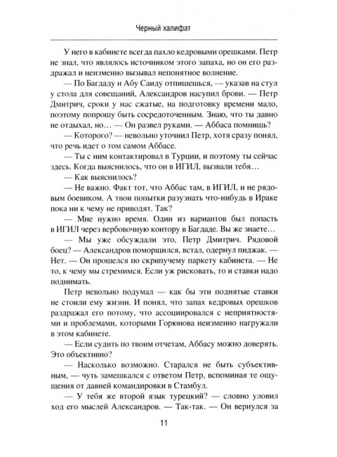 Черный халифат. Держите огонь зажженным. Дегтярева И.