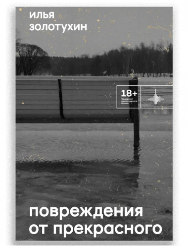 Повреждения от прекрасного. Золотухин И.