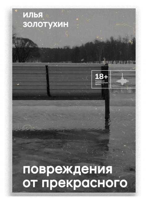 Повреждения от прекрасного. Золотухин И.