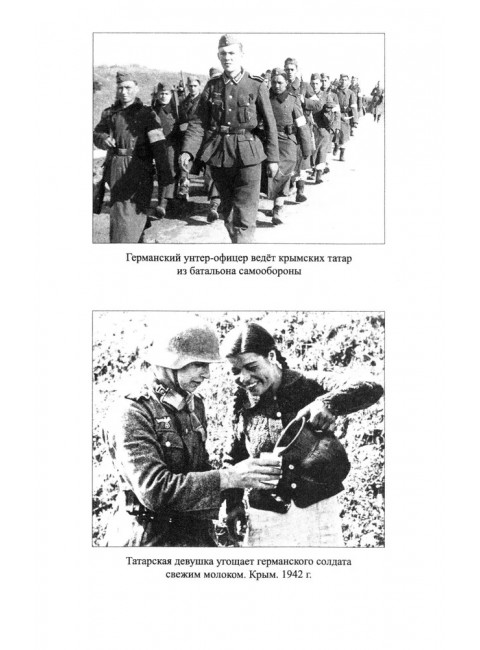 Великая депортация. Трагические итоги Второй мировой. Широкорад А.Б.