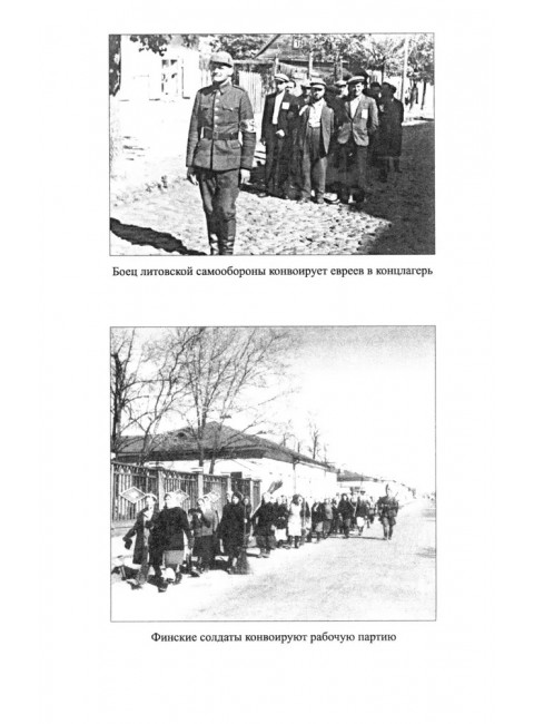 Великая депортация. Трагические итоги Второй мировой. Широкорад А.Б.