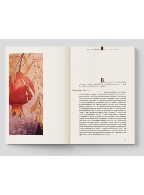 Видеть Рим. Семь неспешных дорог. Ян Т.