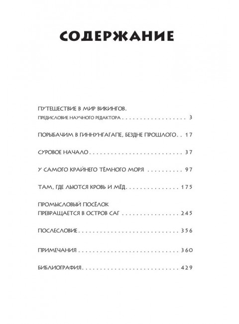 Чёрный Викинг. Биргиссон Б.