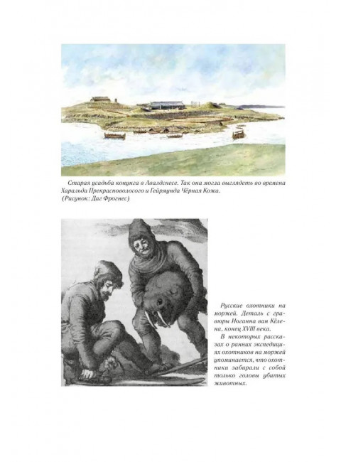 Чёрный Викинг. Биргиссон Б.