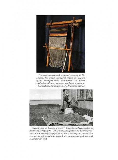 Чёрный Викинг. Биргиссон Б.