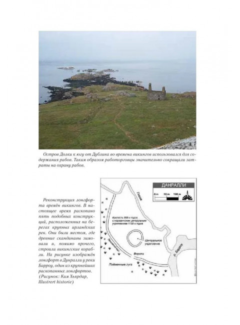 Чёрный Викинг. Биргиссон Б.