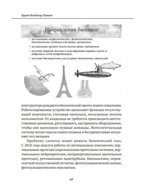 Путешествие по ленте Мёбиуса. Курков В.Л.