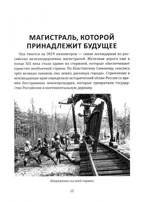 БАМ. Летопись дороги в будущее. Алдонин С.