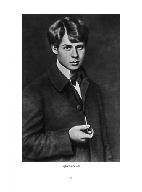 Жизнь и смерть хулигана. Сергей Есенин глазами друзей и врагов. Замостьянов А.А.