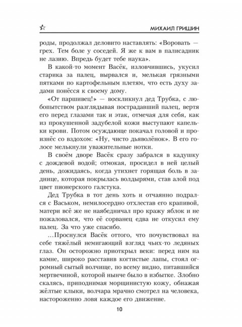 Одиночка. Гришин М.А