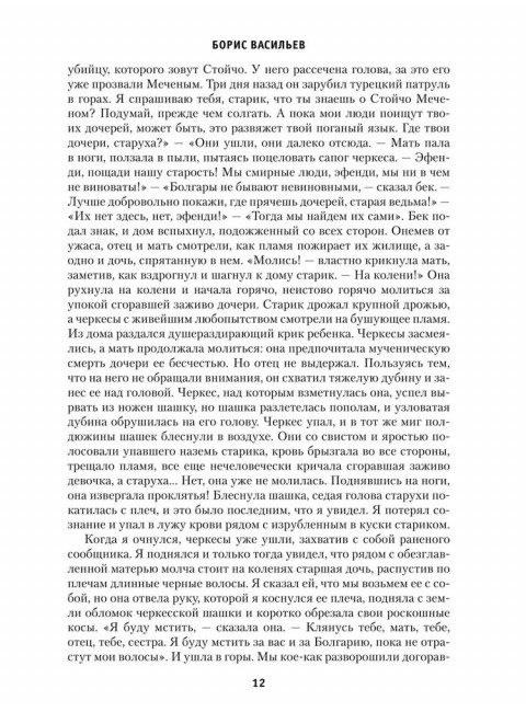 Господа волонтеры. Васильев Б.Л.