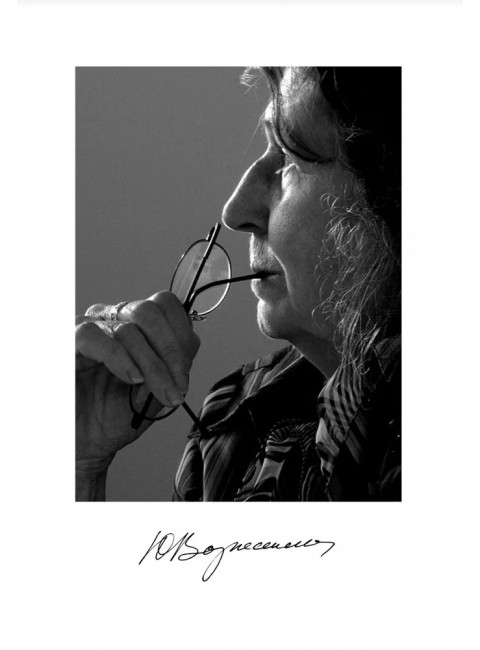 Юлианна, или Игра в киднеппинг. Вознесенская Ю.Н.