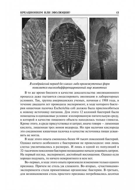 100 великих тайн Библии. Бернацкий А.С.