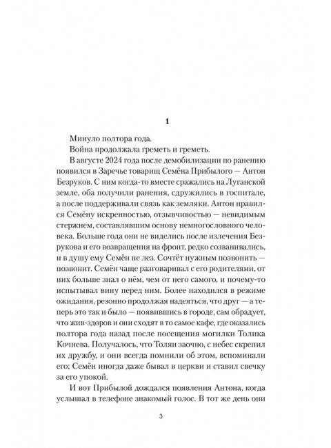 Штурмовик Прибылой. Пронский В.