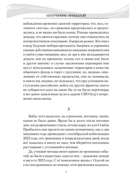 Штурмовик Прибылой. Пронский В.