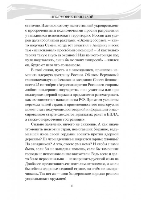 Штурмовик Прибылой. Пронский В.