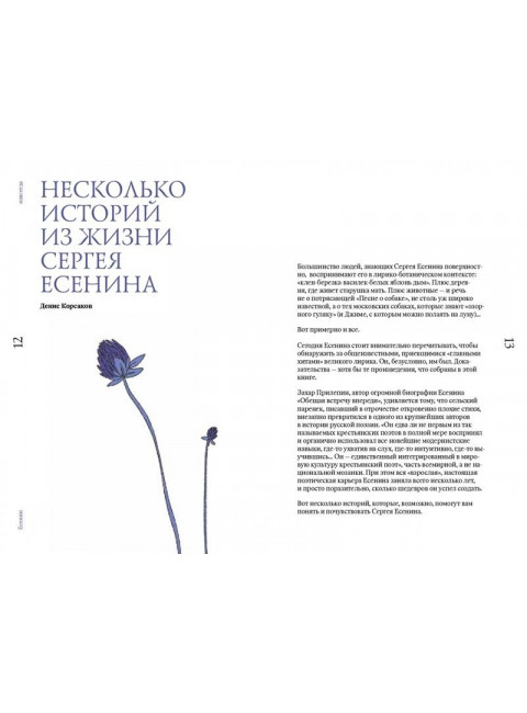Есенин навсегда. Сборник стихов с современными иллюстрациями. Есенин С.