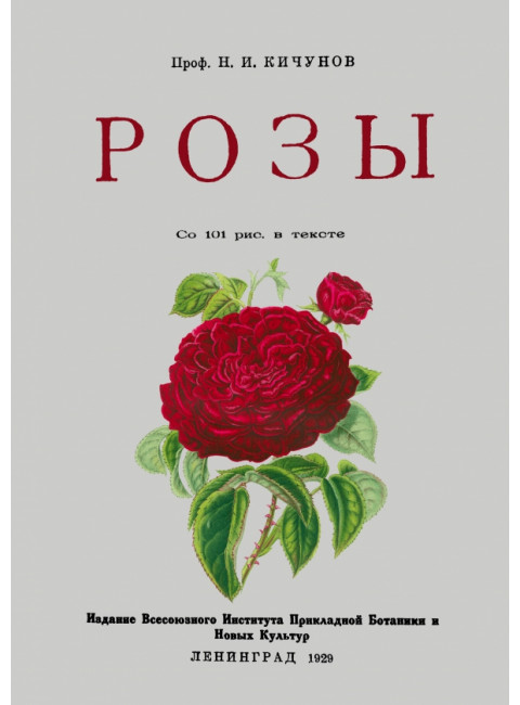 Розы. Кичунов Н.И.